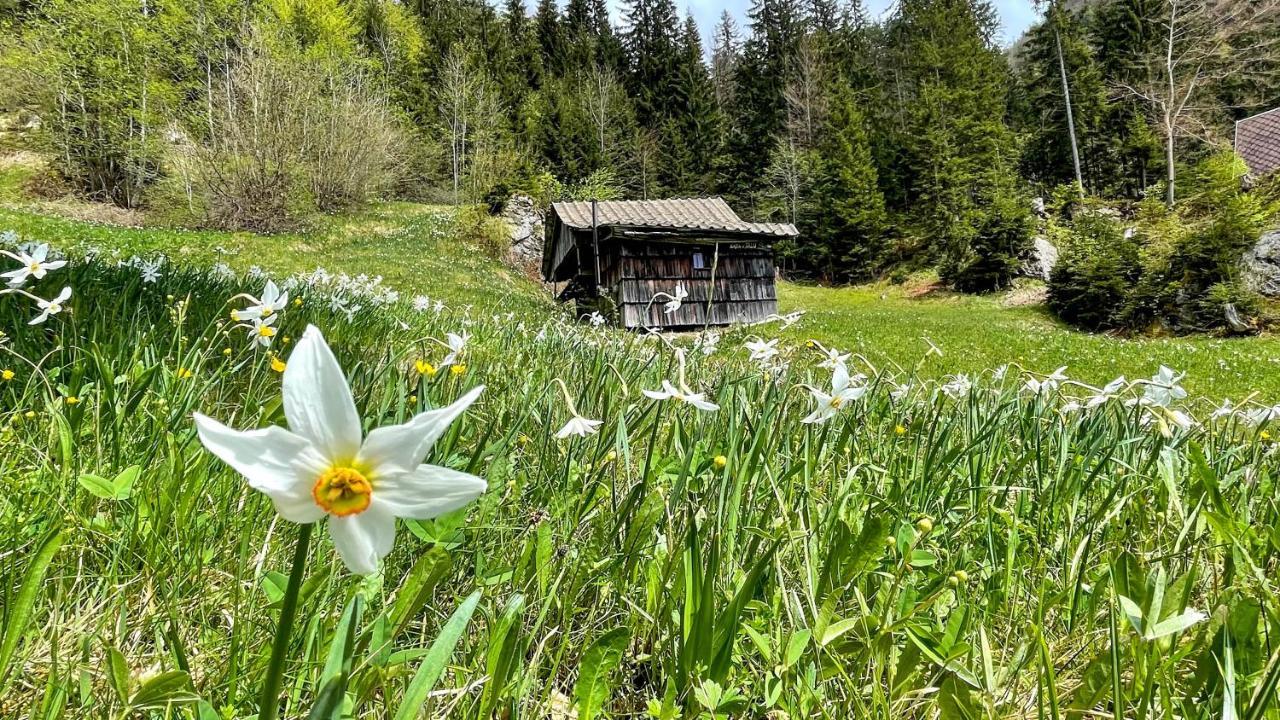 Dwarfs Cabin Overlooking Julian Alps Near Bled Jesenice Εξωτερικό φωτογραφία